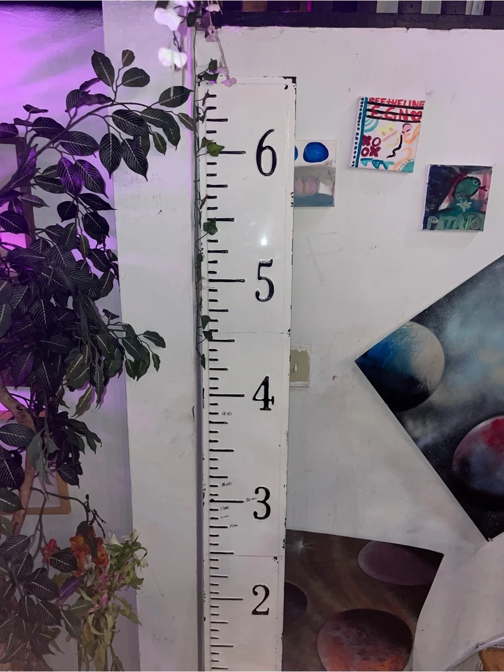 White Wooden Growth Chart Ruler Wall Decor